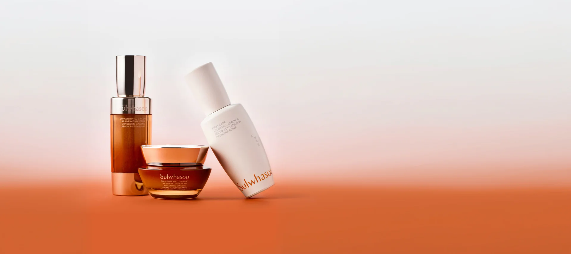 Timeless Radiance, Rooted in Tradition